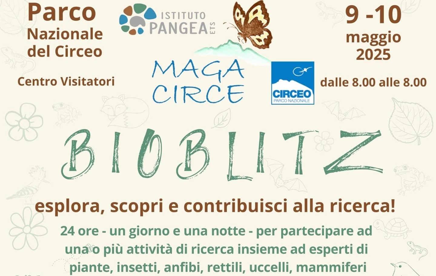 Immagine News